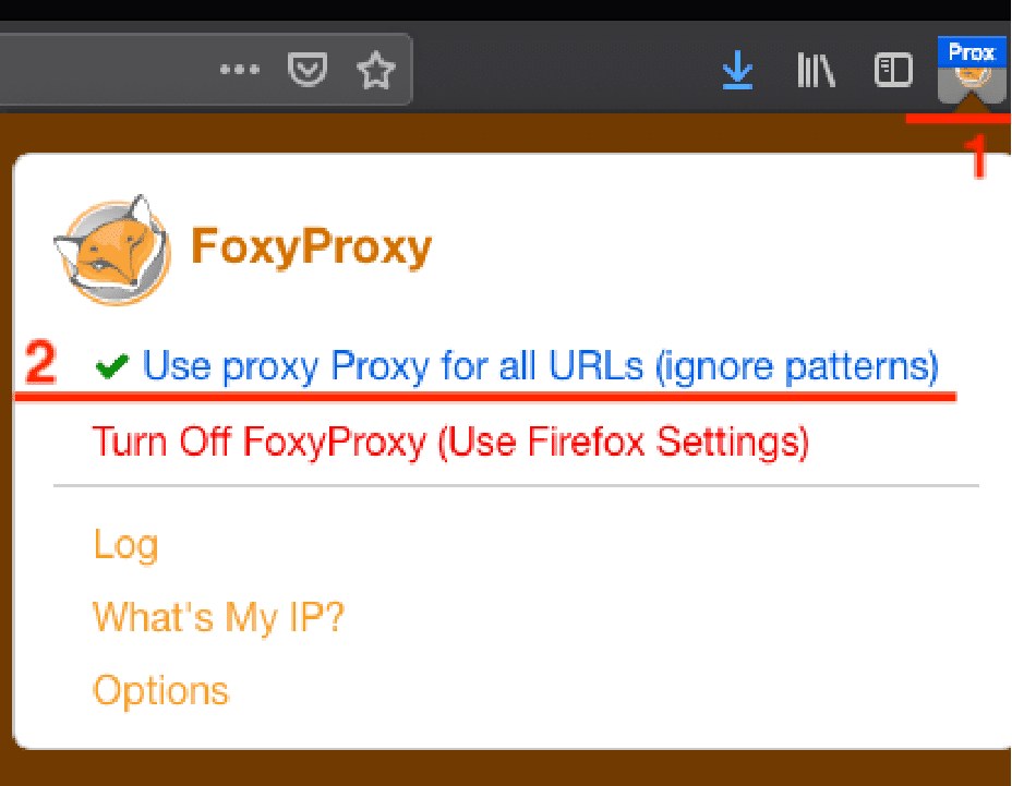 怎么使用FoxyProxy连接代理IP？